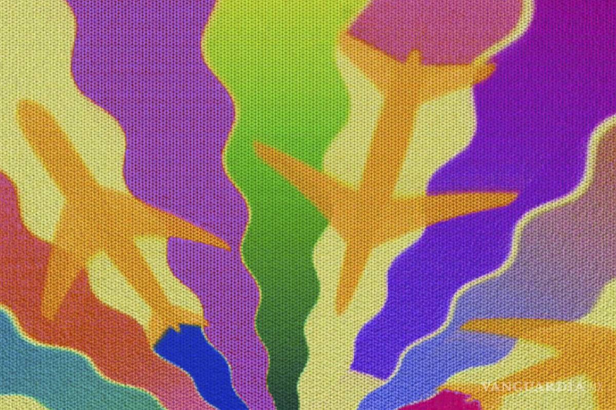 Viaja por el mundo con una aplicación