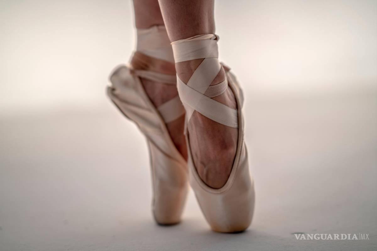 El Ballet como forma de vida II