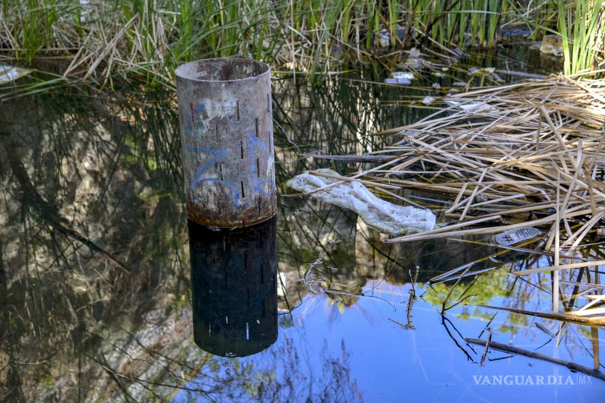 Alto grado de contaminación del Pozo Azul vuelve letal entorno para Carpita de Saltillo