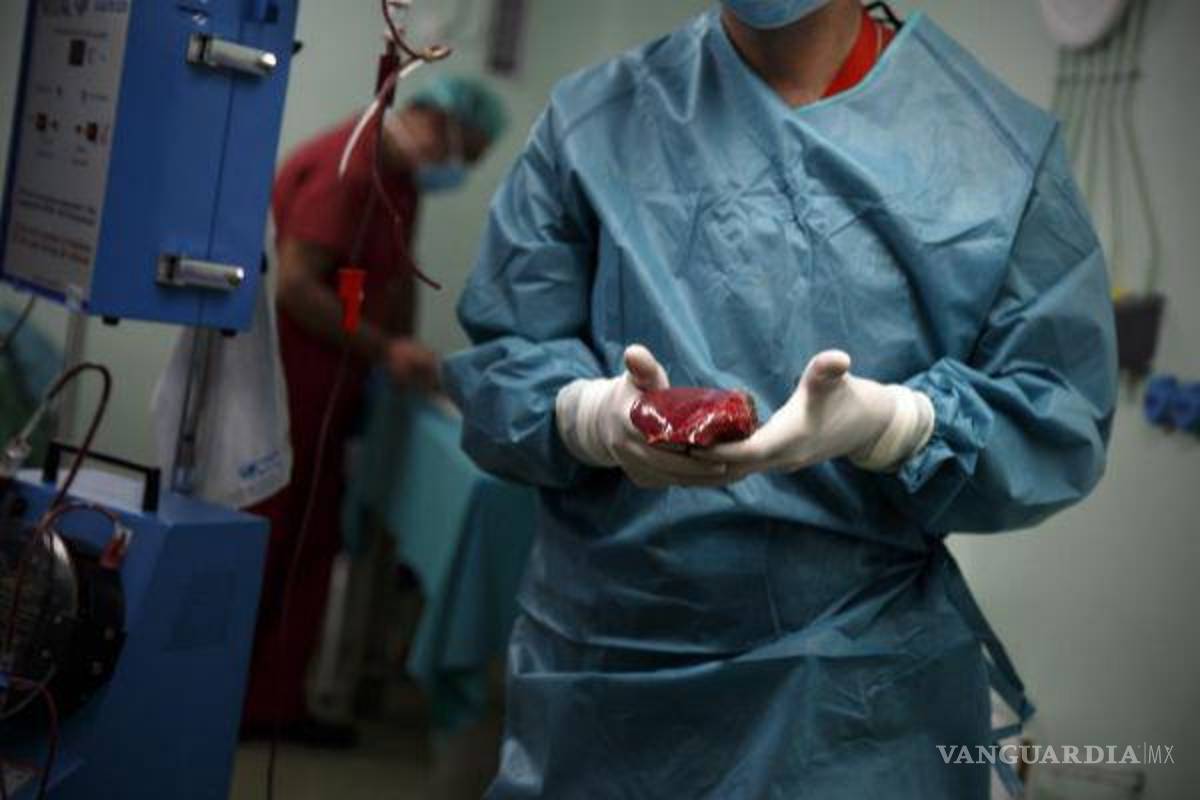 ¿Donación obligatoria de órganos en México?, diputados buscan implementarla