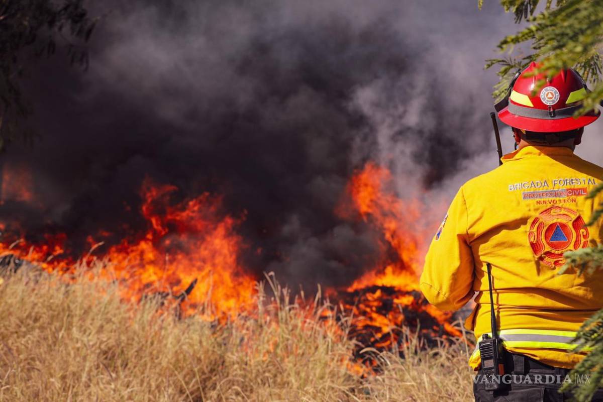 Evacuan a 30 personas y rescatan a seis animales por incendio en Monterrey, Nuevo León