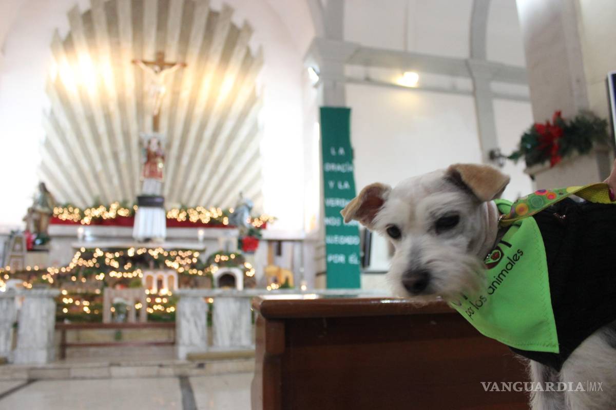 Celebran a San Antonio Abad llevando a mascotas a iglesia en Saltillo