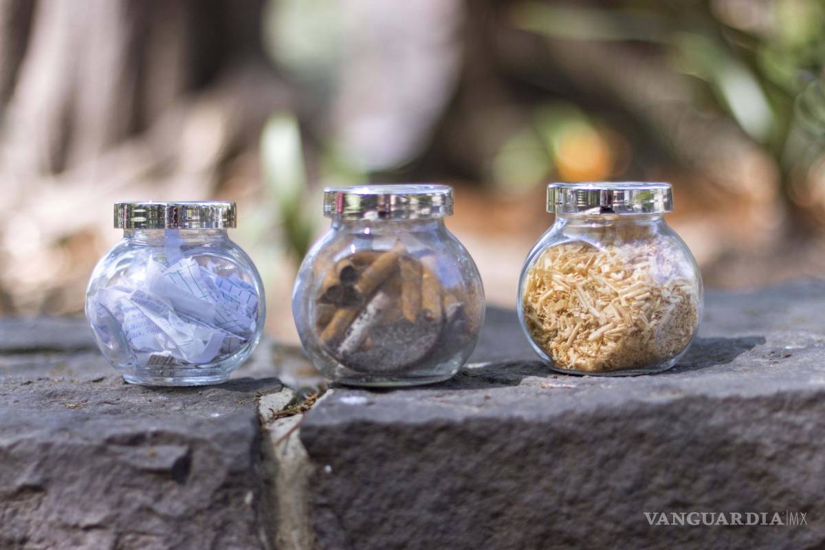 Esfuerzo mexicano: Reciclan colillas para cultivar plantas