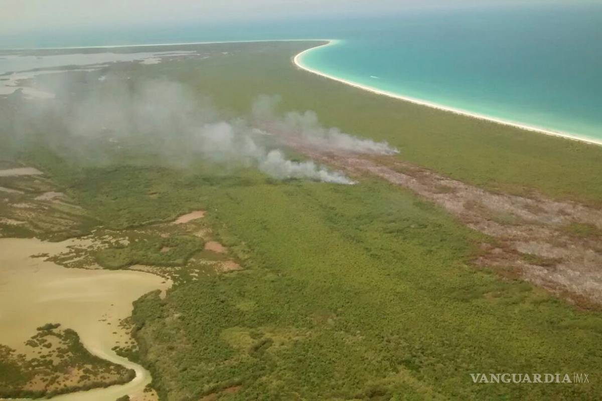Incendio en isla Holbox fue provocado, confirma Profepa