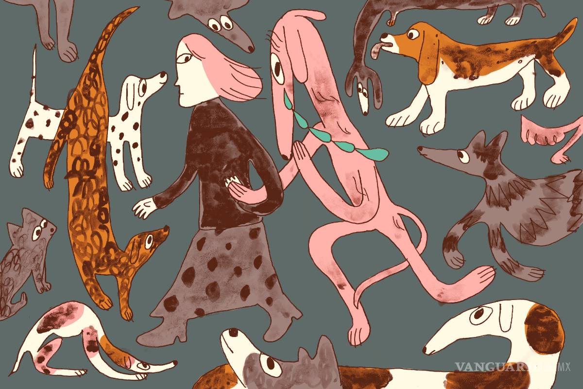 De hecho, los parques para perros son malos