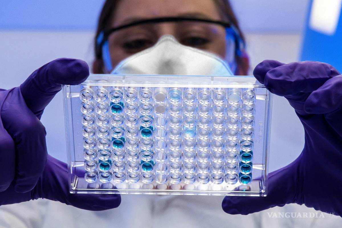 $!Hantavirus: cómo se transmite el virus y cuáles son los síntomas