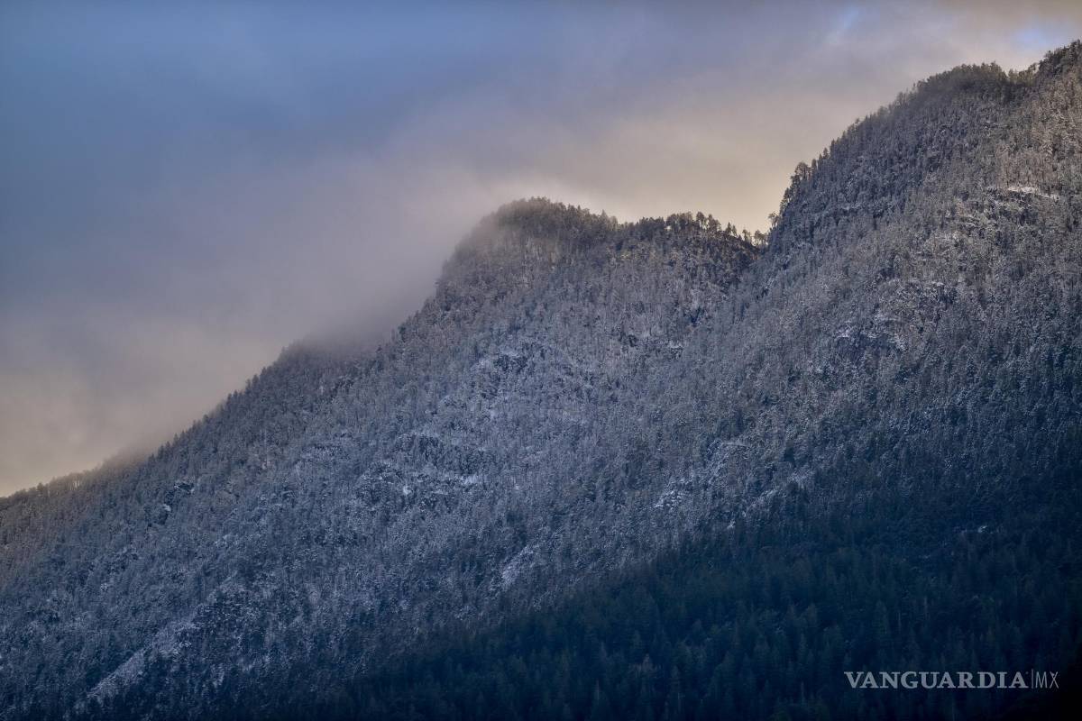¡Prepárese para el hielo! Frente Frío #28 y aire ártico seguirá afectando; prevén lluvia engelante en sierras de México