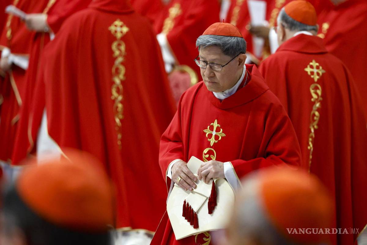 $!El cardenal Luis Antonio Tagle “ha sido ineficaz para mejorar la difícil situación de las víctimas de abuso sexual en la iglesia filipina”, señala Bishop Accountability.