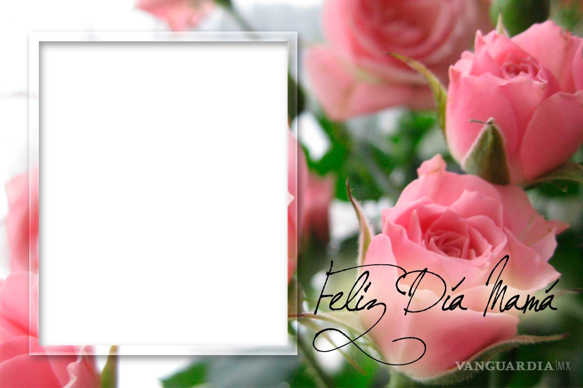 6 apps para hacer tarjetas digitales para el 10 de mayo