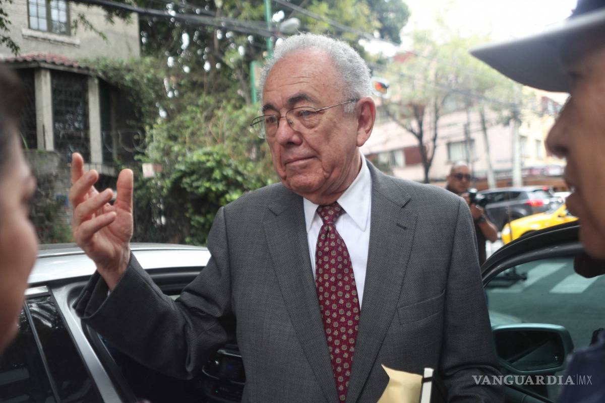 $!Proyecto de Santa Lucía todavía es sólo un concepto