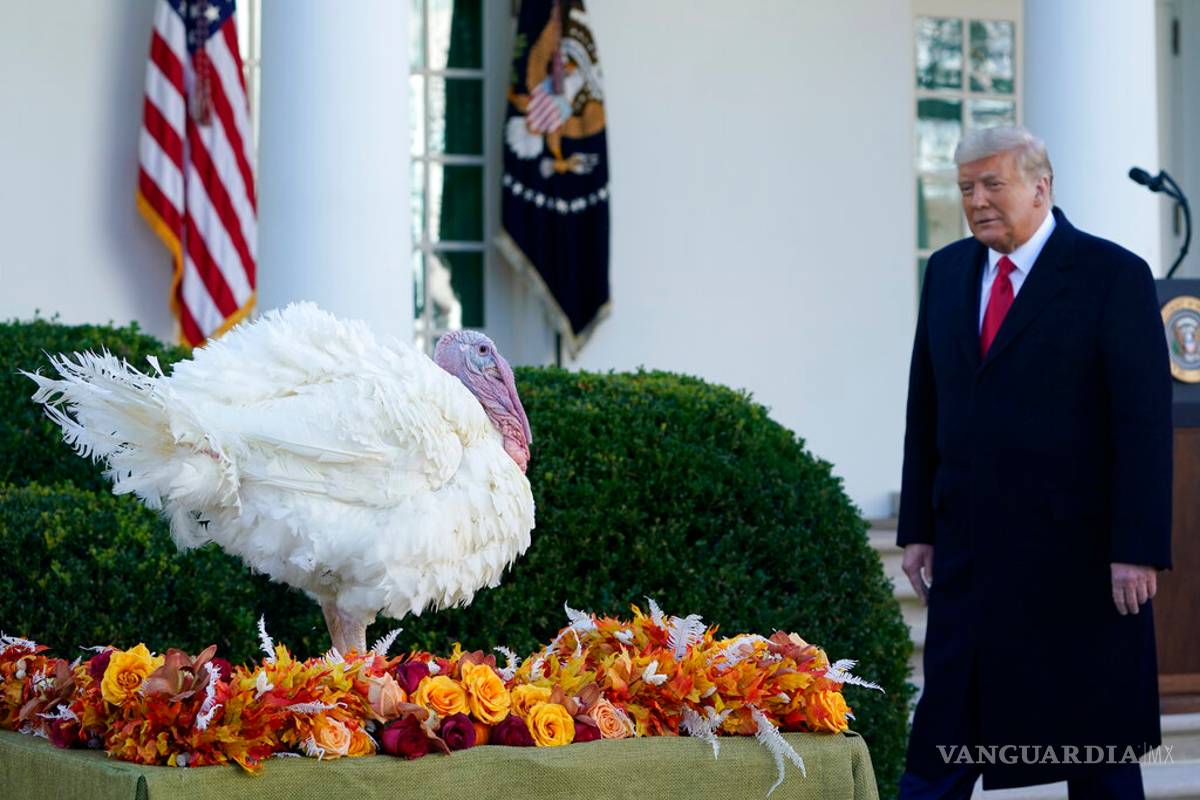 Trump no desiste y agencias colaboran en transición de Biden