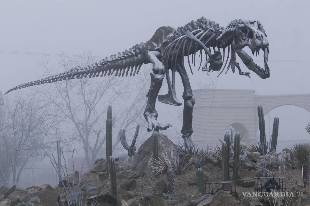 $!Así lucen los dinosaurios de Dinoladia en Ramos Arizpe.