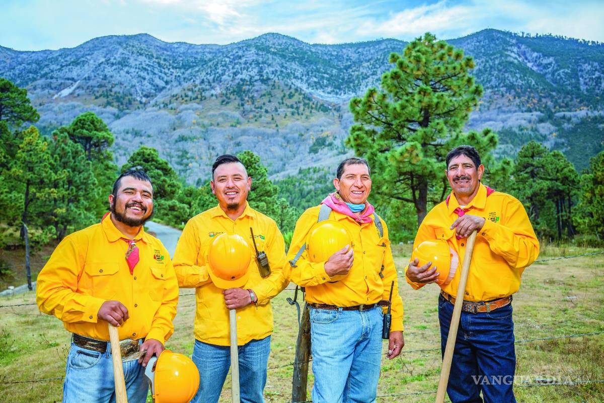 Brigadistas: Héroes de la sierra