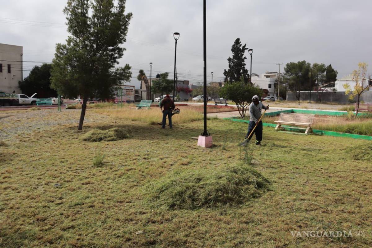 $!Brigadas de “Aquí Andamos” deshierbaron y retiraron basura de la plaza pública de la colonia El Álamo, en respuesta a reportes ciudadanos canalizados a través del asistente virtual “Saltillo Fácil”.