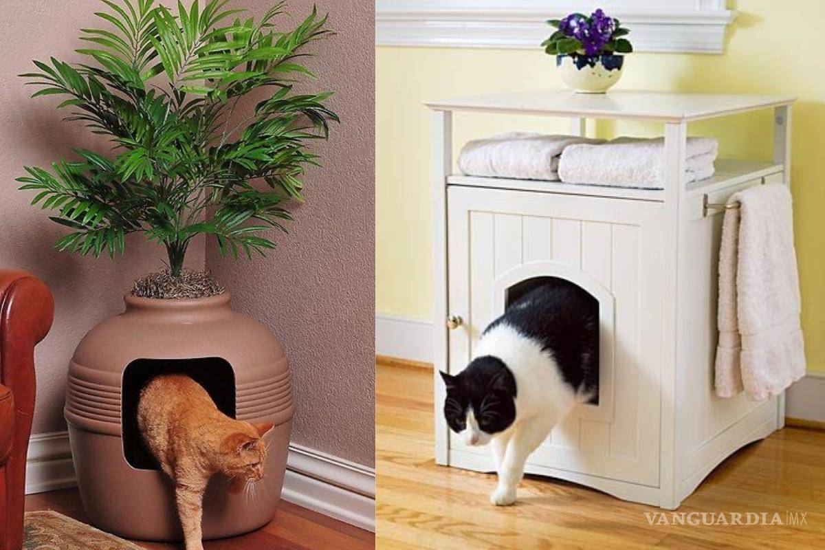 $!Existen opciones ingeniosas y decorativas para ocultar el arenero de nuestra mascota.