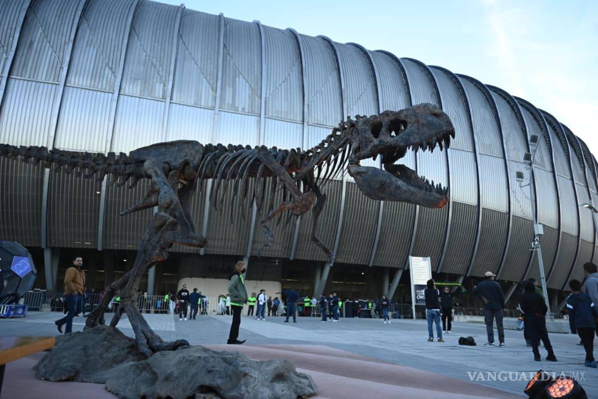 $!Impresionante réplica de restos fósiles de dinosaurio fue colocada en el stand de Saltillo.