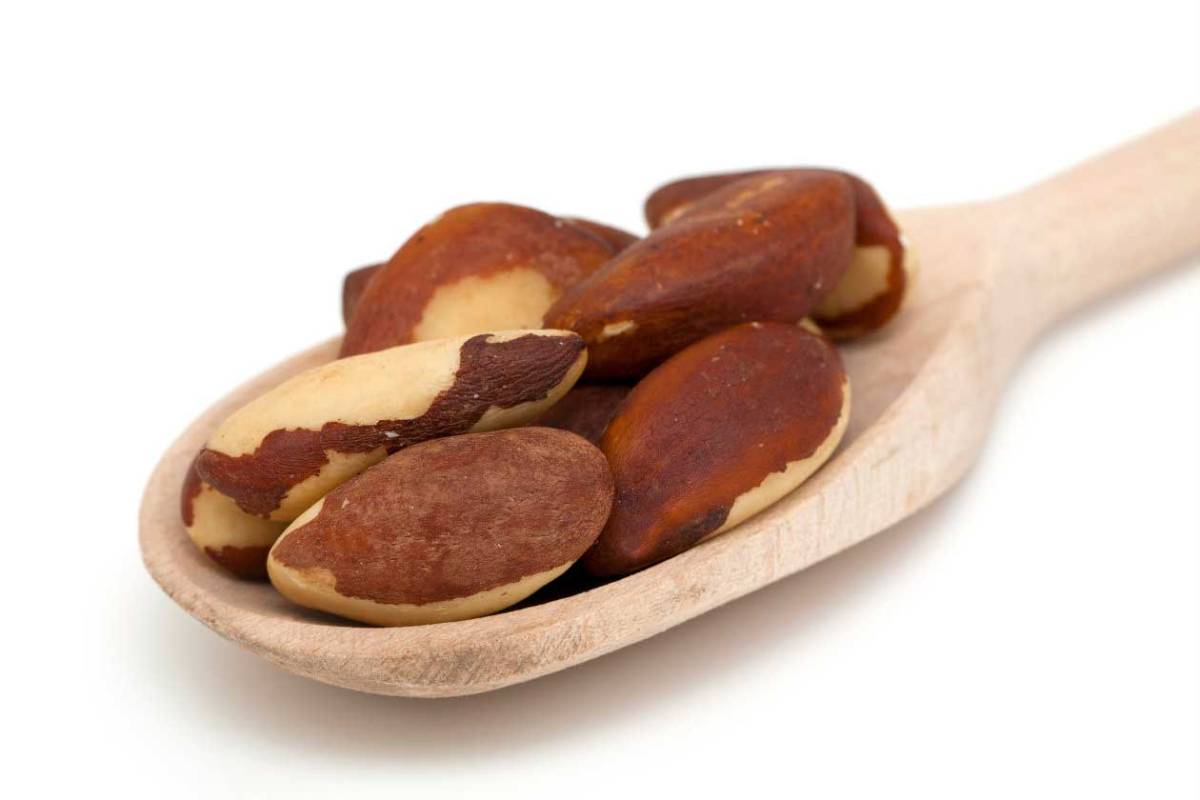 Alerta: no consuma la Semilla de Brasil