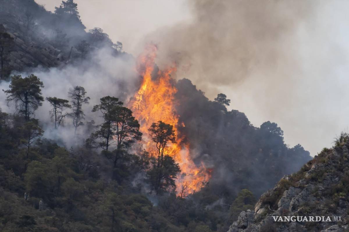 Alerta por incendios forestales en Coahuila: experto prevé temporada ‘muy complicada’ para 2026