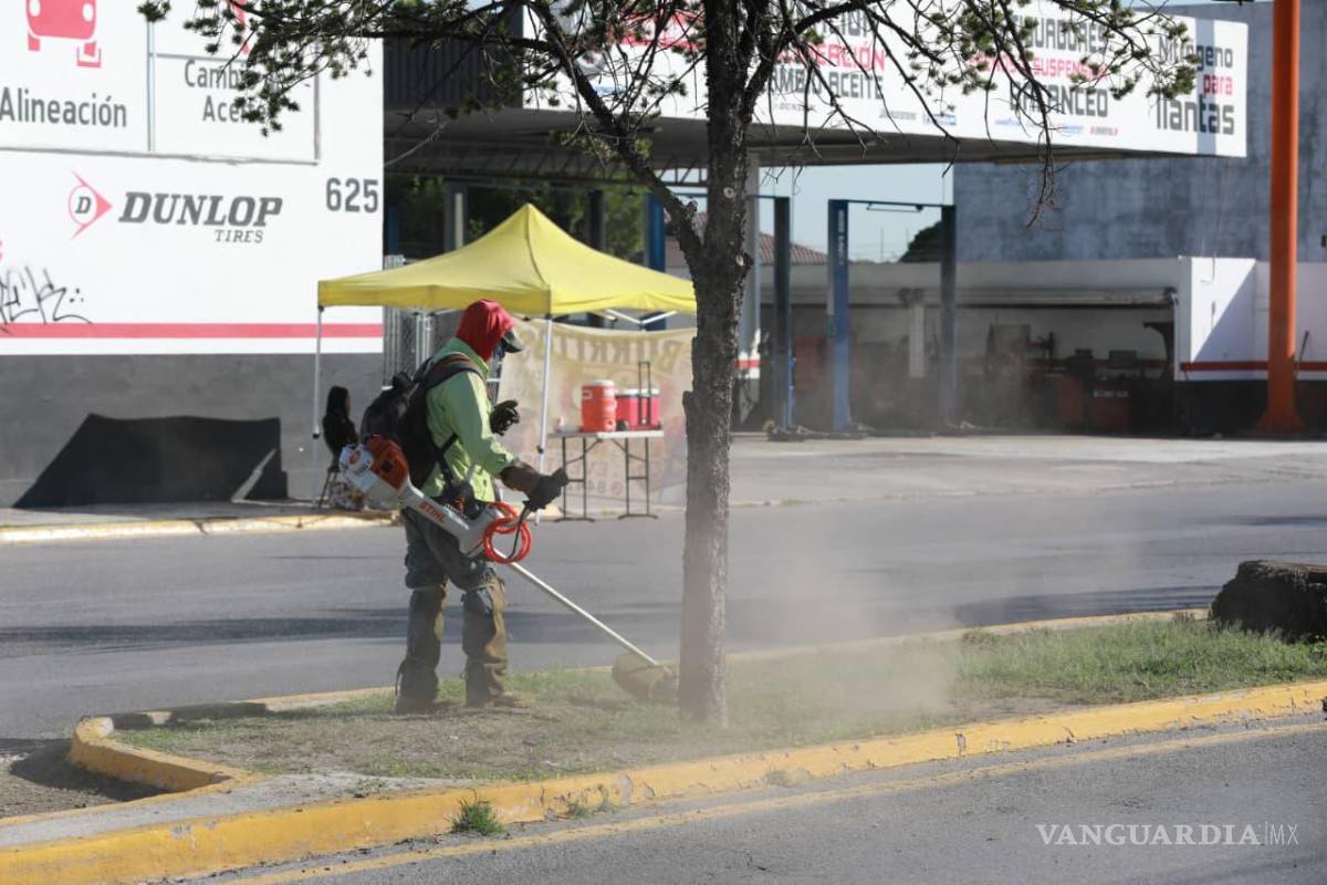 $!Las cuadrillas llevan a cabo deshierbe y retiro de basura en el camellón central de Valdés Sánchez y los laterales de esta vialidad.
