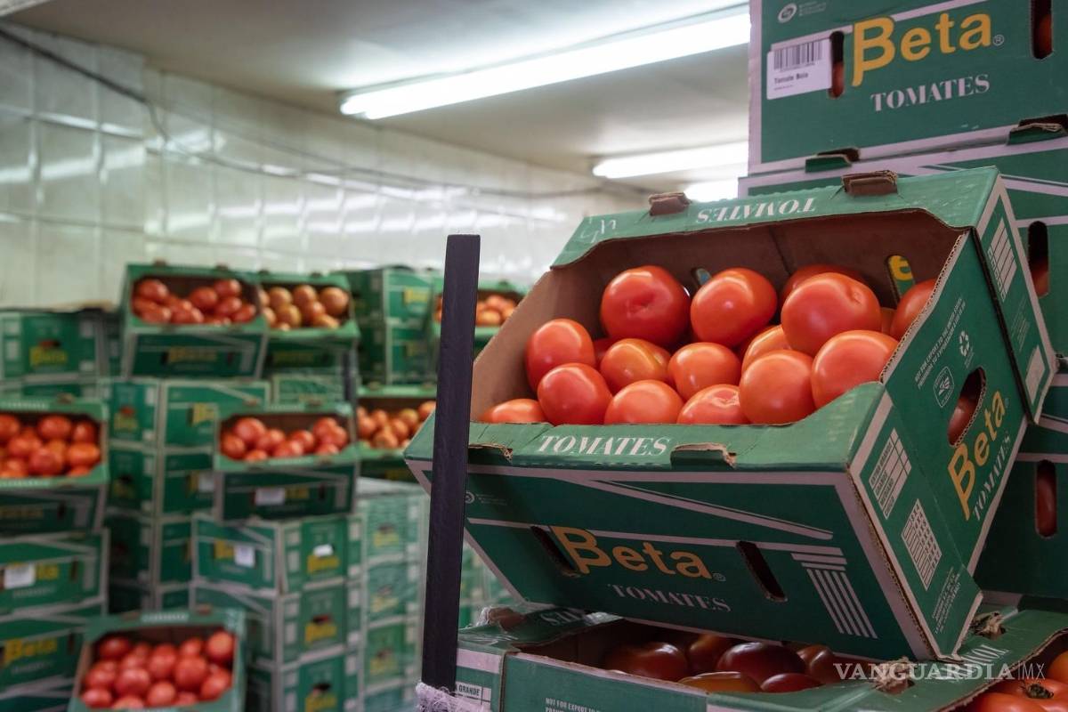 Prevén un aumento del 50% en los precios del tomate en Estados Unidos