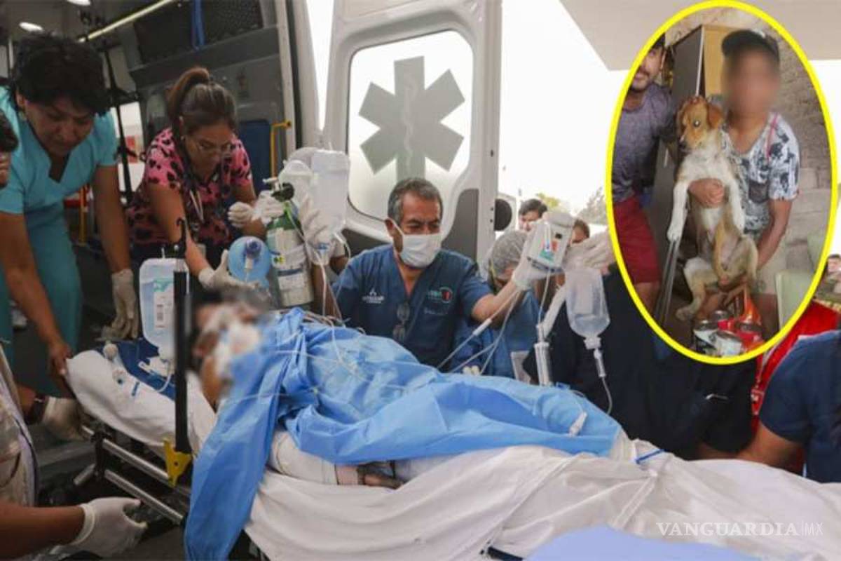 Niño salvó de incendio a su perrito, pero murió días después