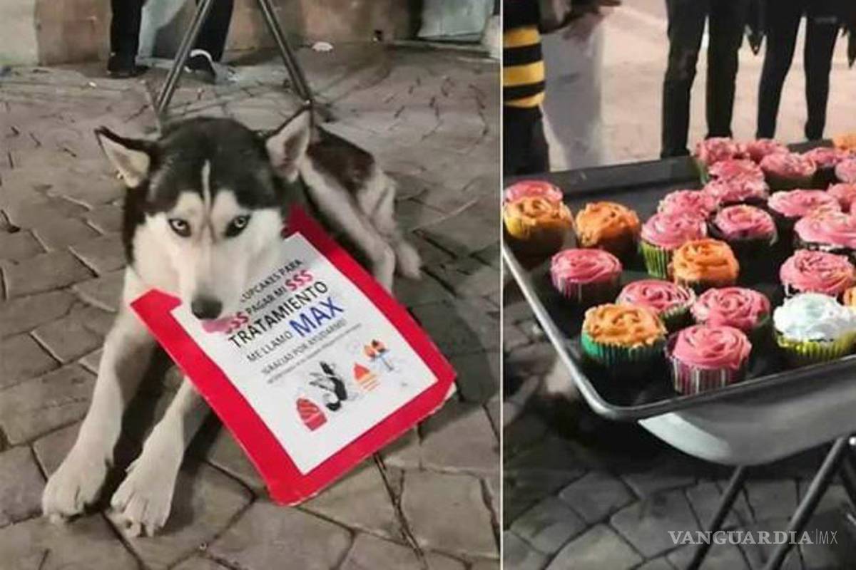 Falleció "Max", el perro que vendía cupcakes para pagar su tratamiento contra el cáncer