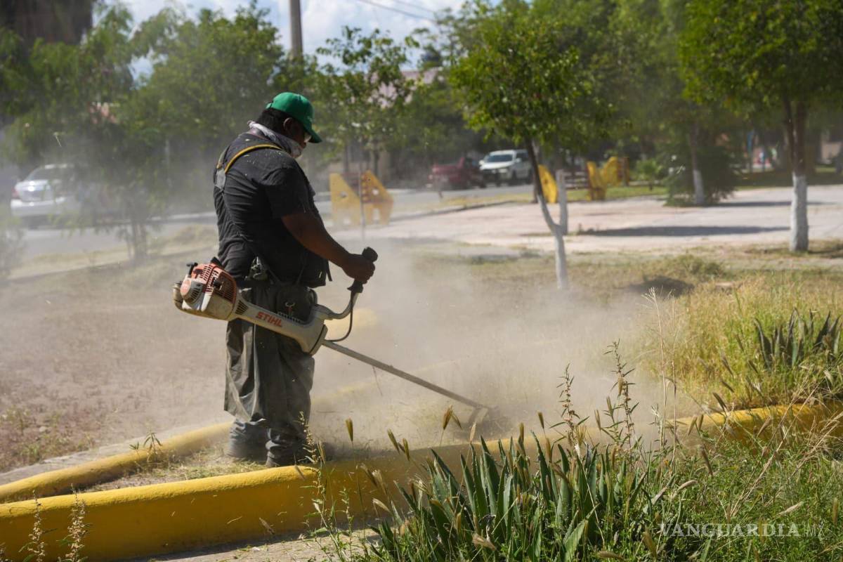 $!Las cuadrillas municipales atendieron camellones, banquetas y canales pluviales como parte del programa permanente de mantenimiento urbano.
