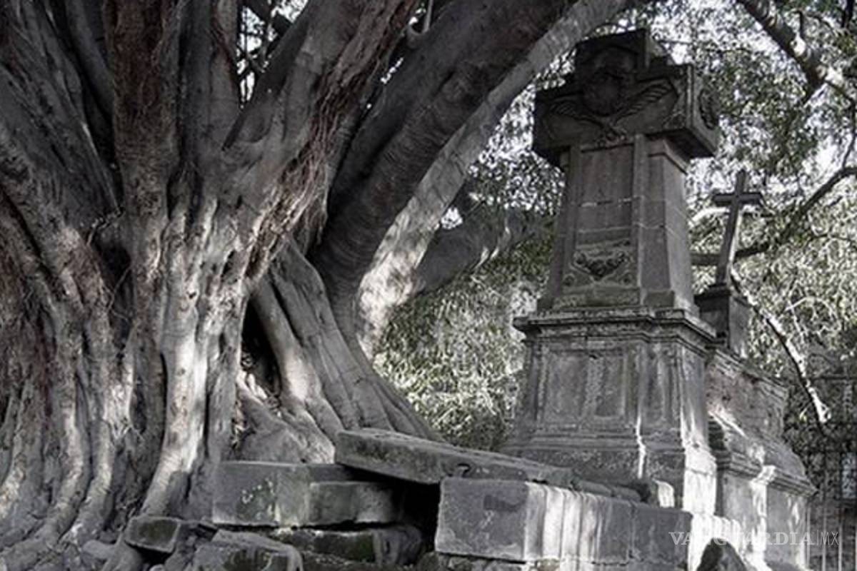 $!Halloween... Las 10 leyendas de terror más escalofriantes en México (videos)