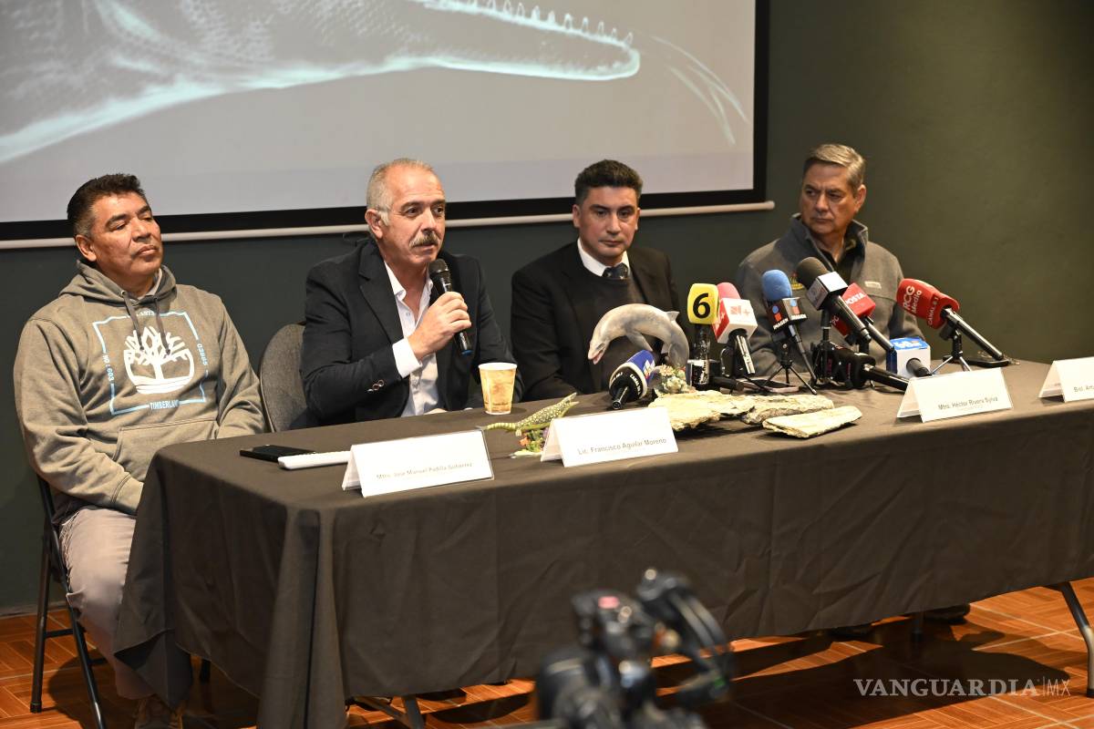 $!El Museo del Desierto anunció el descubrimiento de una nueva especie de mosasaurio.