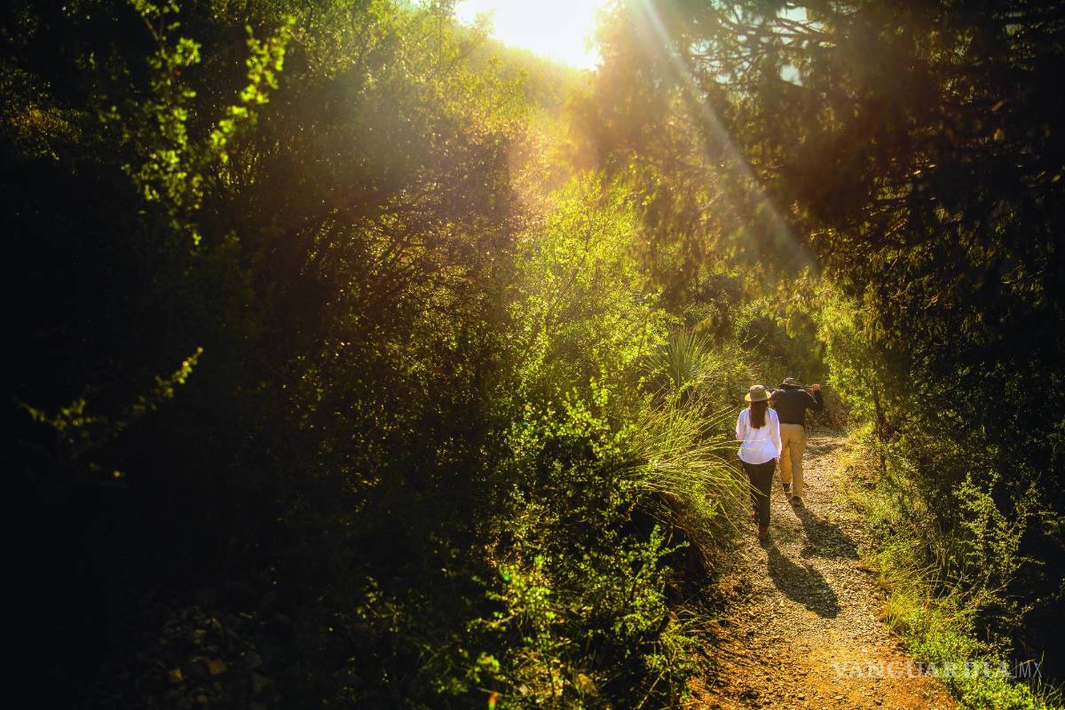 Conservación San Lorenzo: Respira el cañón