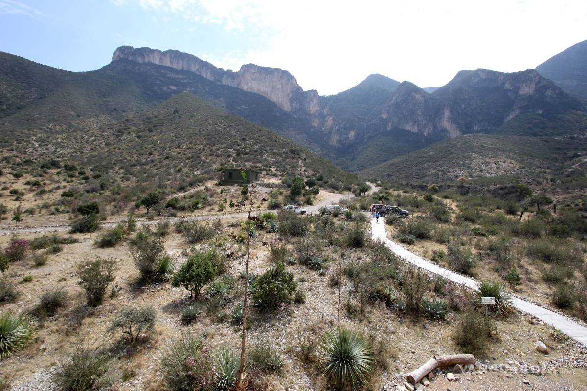 Profauna, 30 años al cuidado del Medio Ambiente