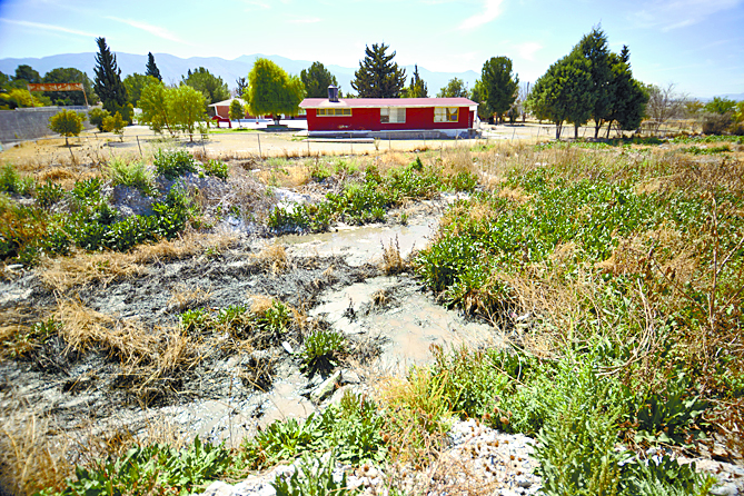 Pondrán fin a contaminación de aguas negras de Arteaga