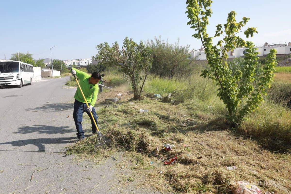 $!Cuadrillas retiran maleza y se desazolvaron puntos del arroyo El Mimbre para favorecer el flujo del agua durante las lluvias.