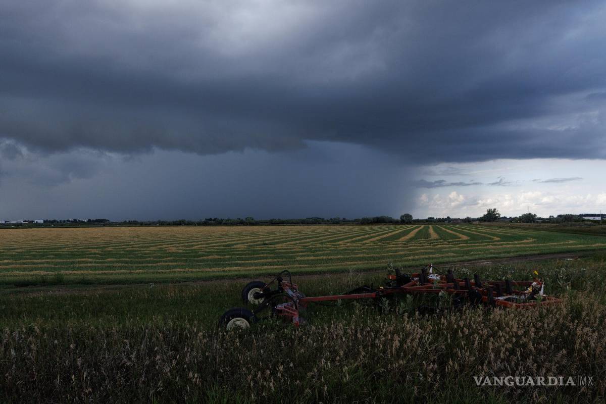 Canadá está a punto de perder su estatus de país libre de sarampión