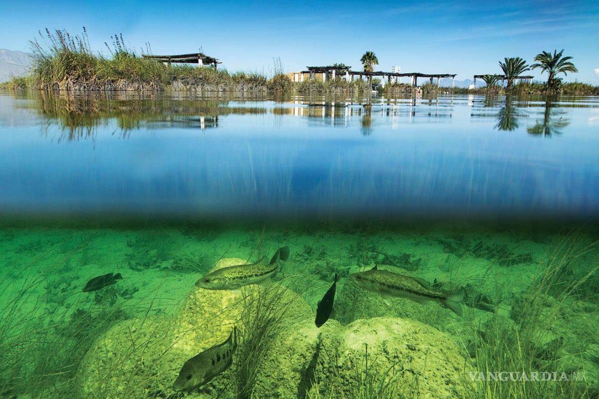 Los cinco mejores destinos naturales que debes conocer en Coahuila