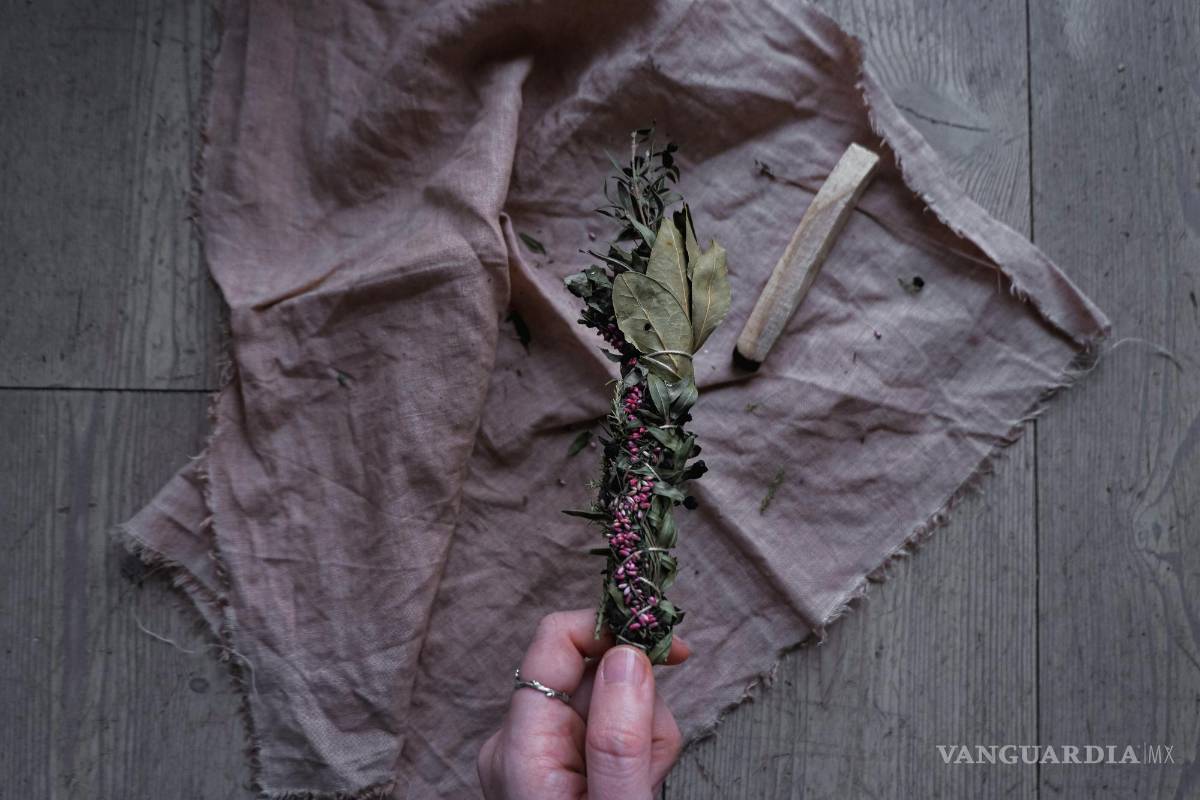 $!Visualiza tus metas mientras cuidas de estas plantas, manifestando así tus deseos hacia el universo.