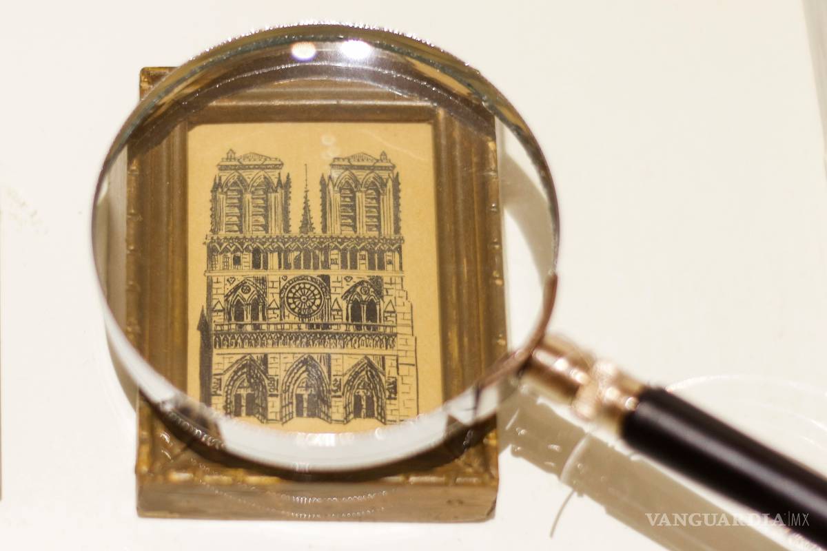 Exponen las acumulaciones de recuerdos en 'Objeto Animal'