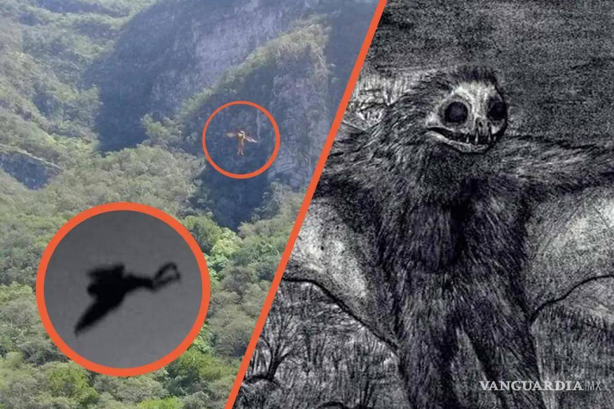 ¿Qué es el Hombre Pájaro?... la misteriosa criatura que presagia catástrofes; fue visto en Coahuila, Nuevo León y Tamaulipas (videos)
