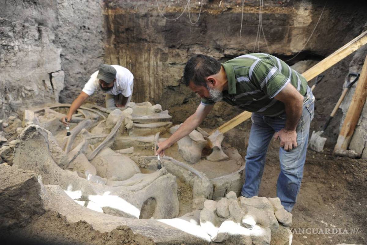 Hallan restos de un mamut de hace 13 mil años en México