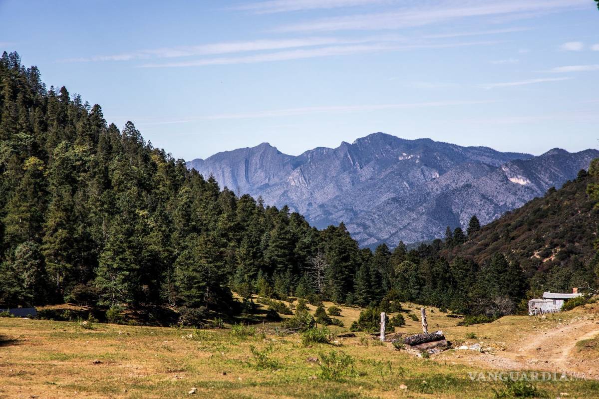 Implementa Arteaga estrategia para recuperar turismo