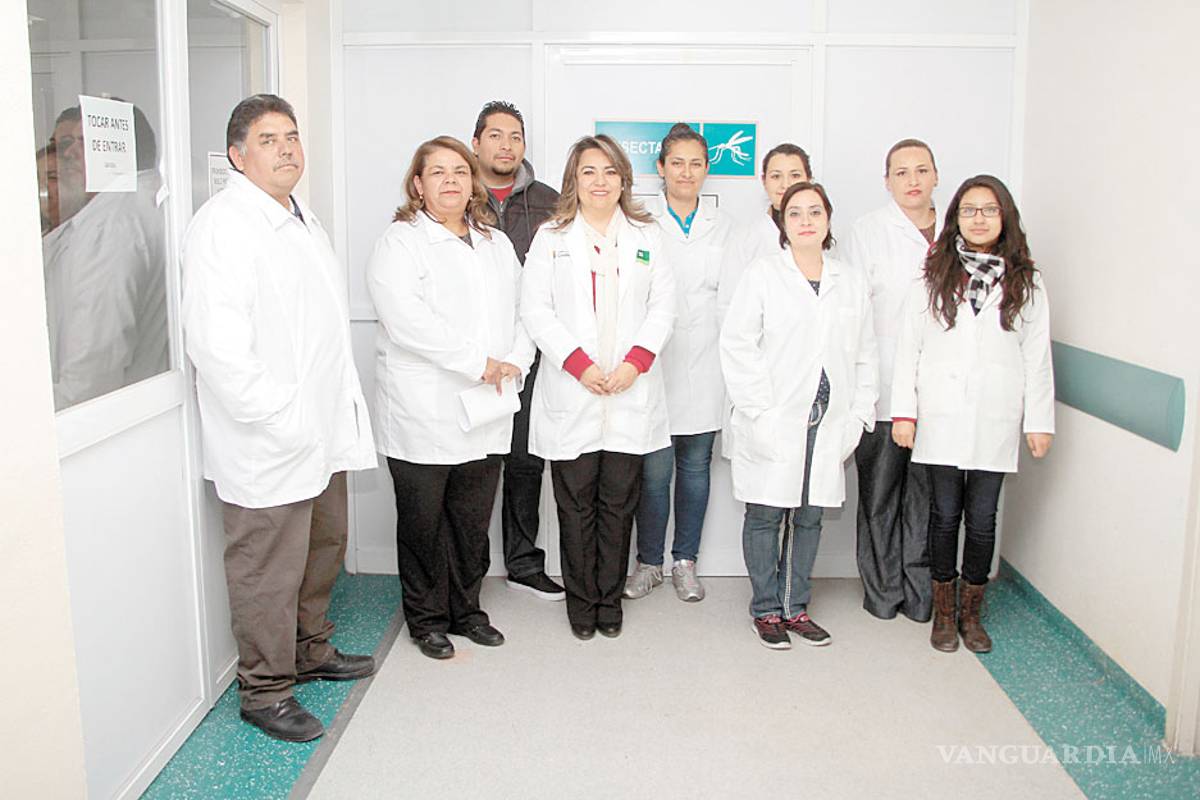 Visitamos el insectario donde se analiza el Zika