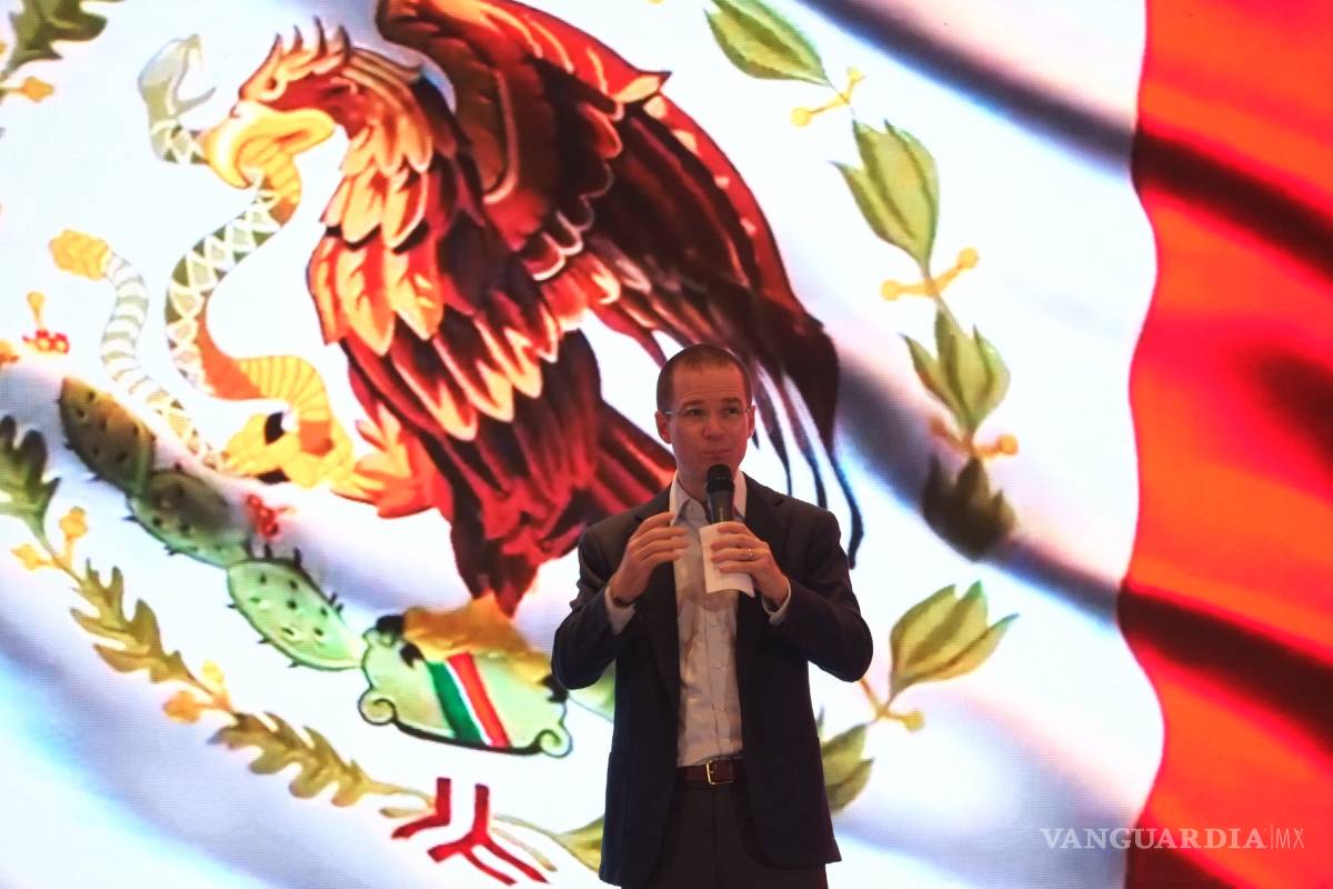 Solicita Anaya observadores internacionales para la elección; &quot;El PRI es muy tramposo&quot;, dice