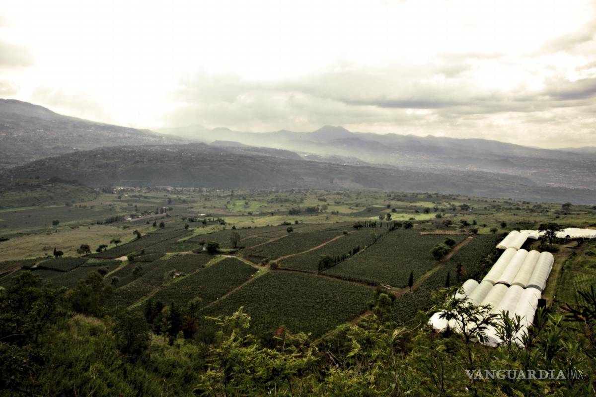 $!Campos de cultivo en Xochimilco, Ciudad de México. Crédito: Gibrán Mena Aguilar