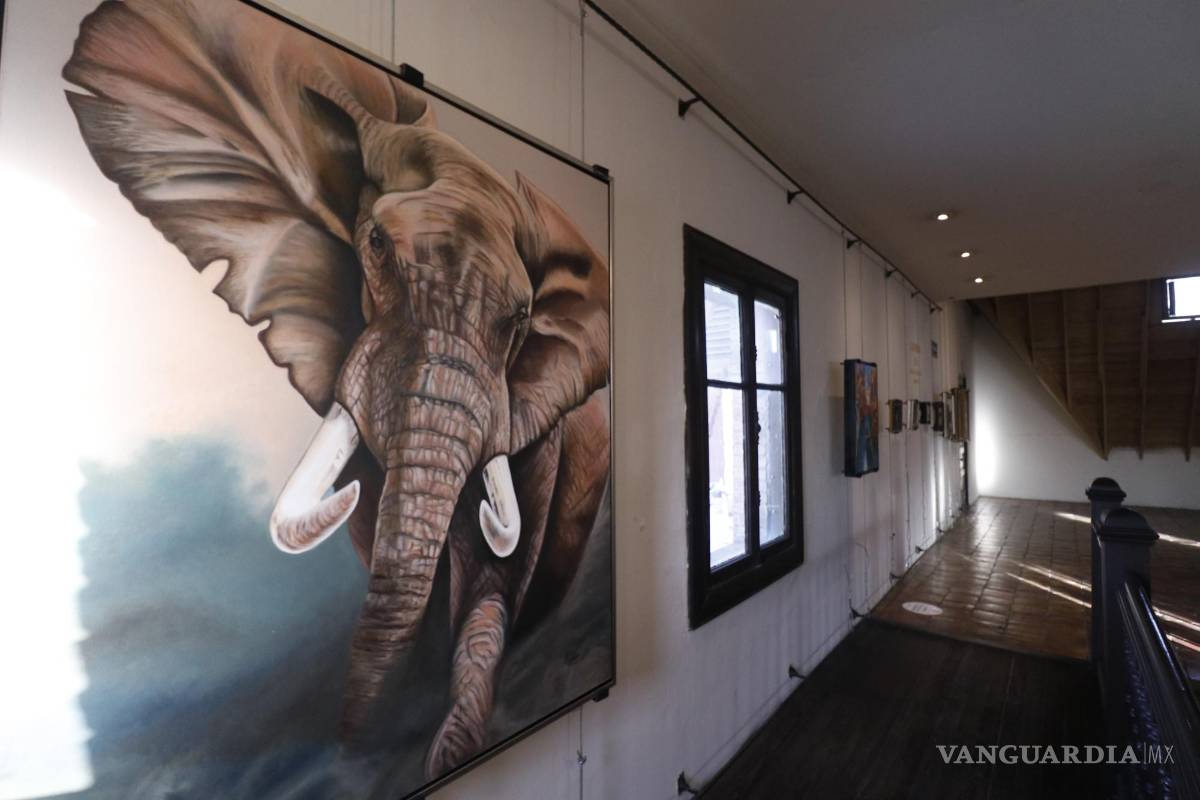 $!Jueves de arte en Casa Purcell con tres exposiciones: ‘La Forja XV’, ‘Balance’ y ‘Viento del Norte’