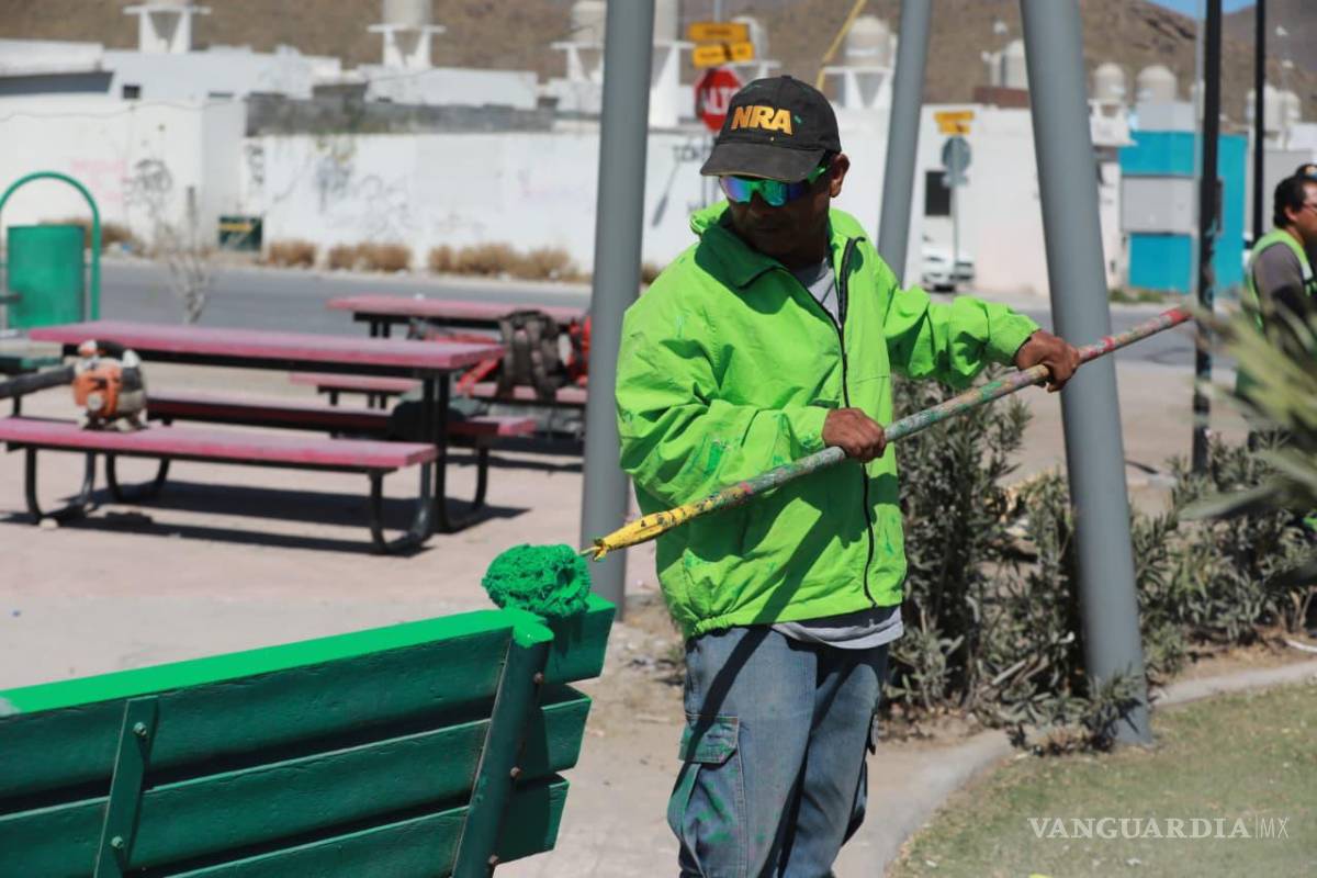 $!Además de la poda de palmas, el Ayuntamiento continúa con labores de mantenimiento en plazas públicas.