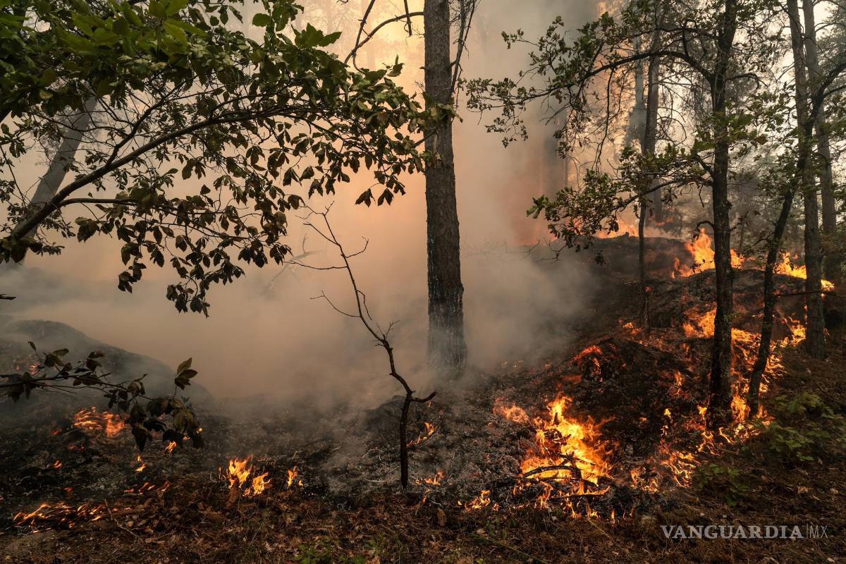 $!Vista del incendio que afecta este lunes al bosque de Fontainebleau, en Noisy-sur-Ecole, en las cercanías de París.