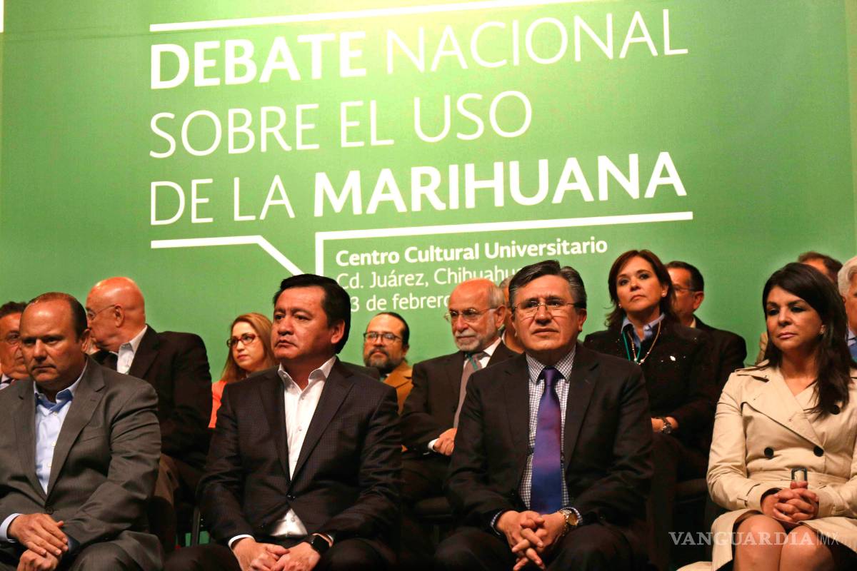 Gobierno federal apoya descriminalizar a usuarios de mariguana