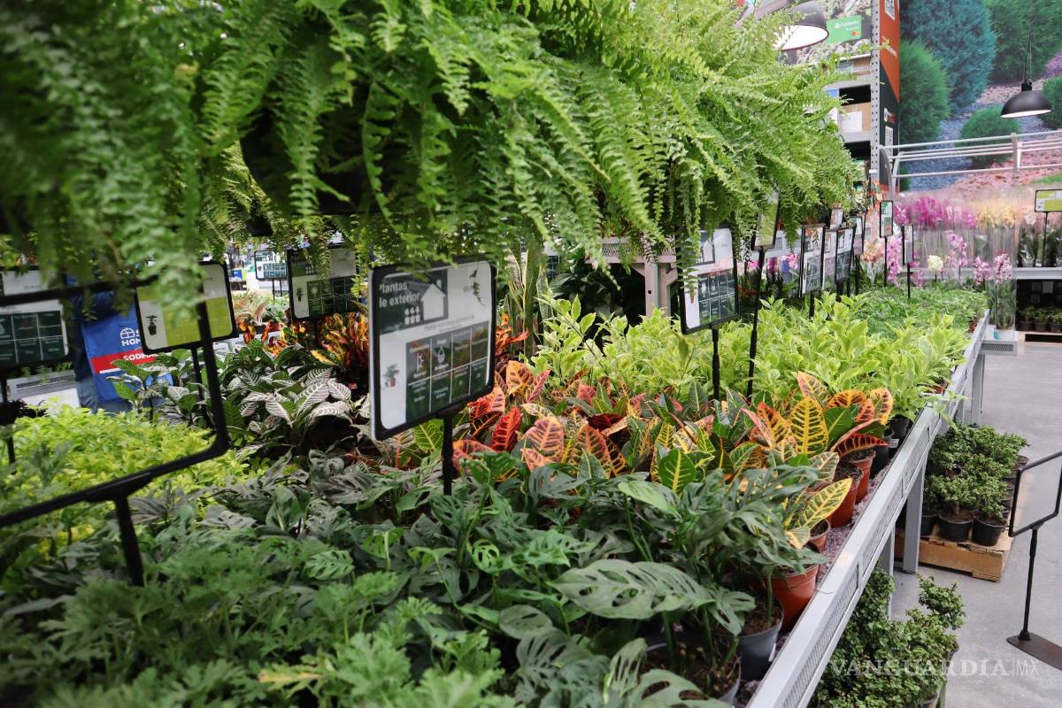 Inauguran primera tienda de Sodimac en Saltillo