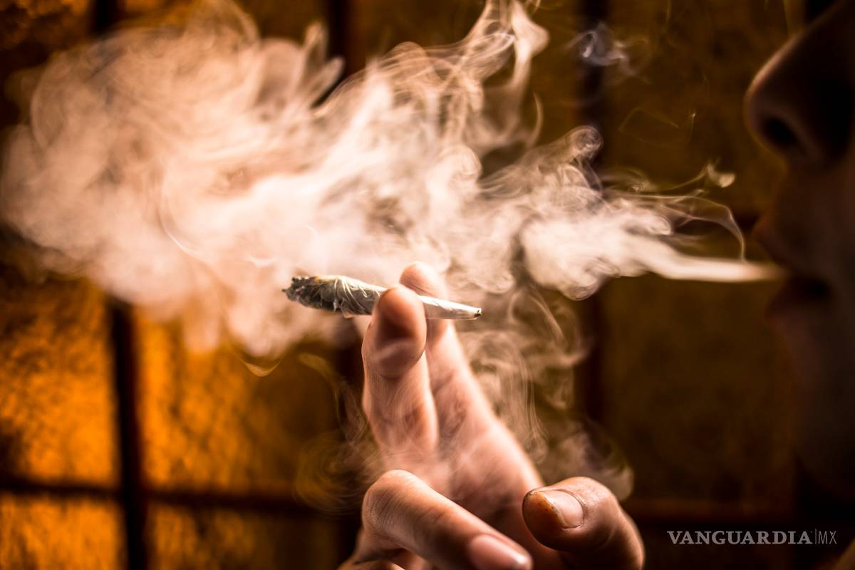 La SMART solicita dejar de criminalizar consumo de mariguana y frenar violencia