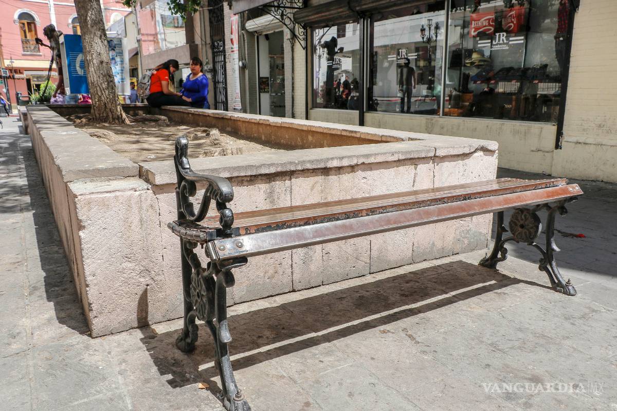 $!Abbott, calle que da pena en el Centro Histórico de Saltillo